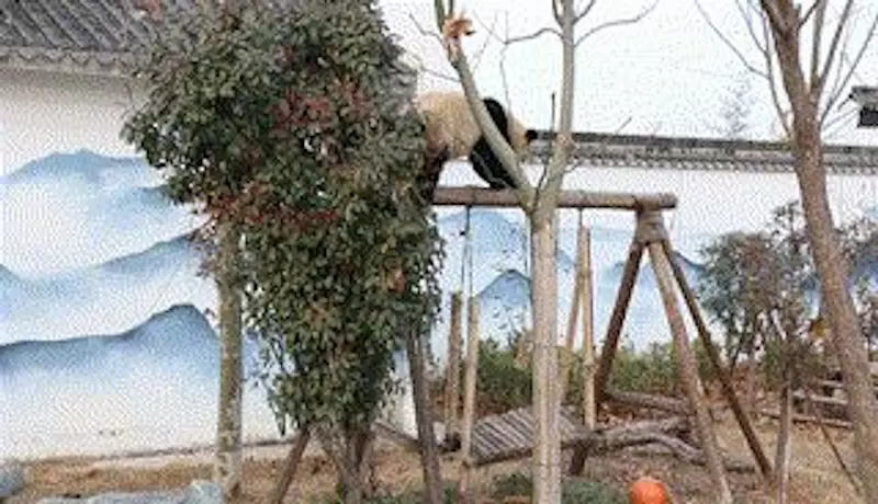 宿州野生动物园