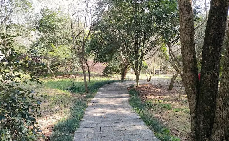 南岭植物园