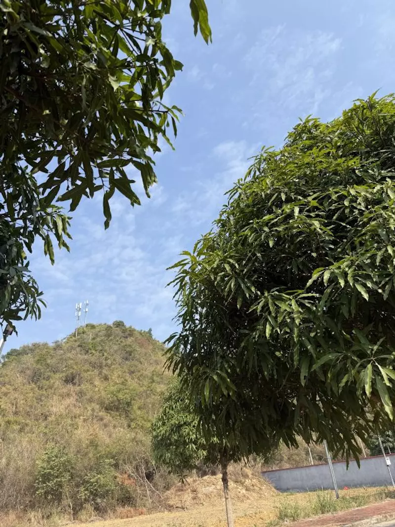 平果市邓公山