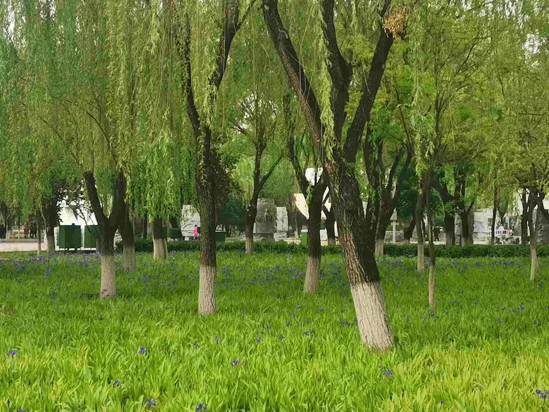法制公园