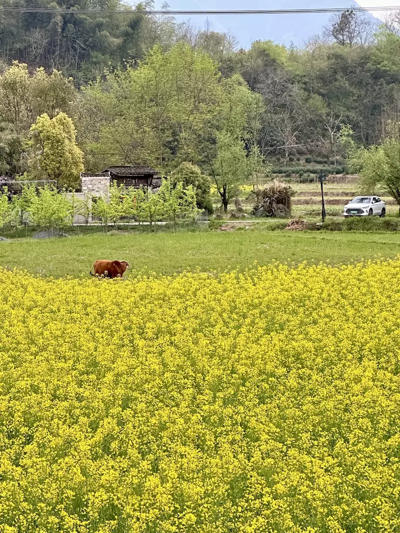 龙川景区
