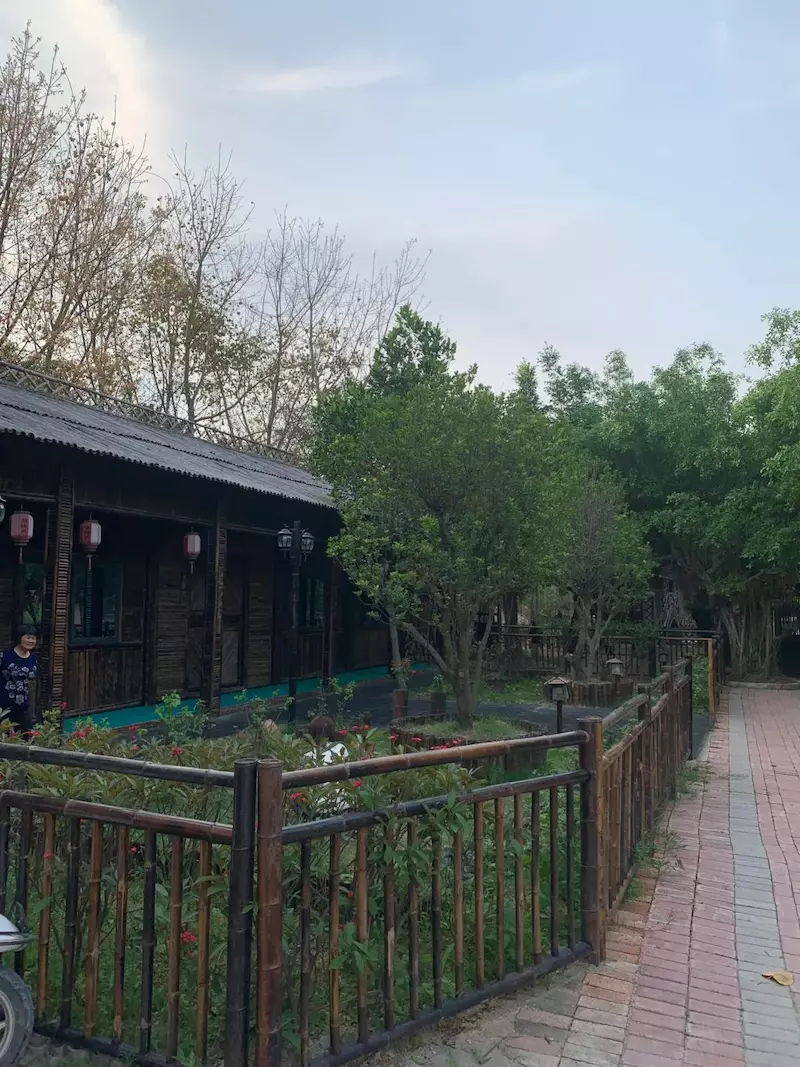 黄河宝树园