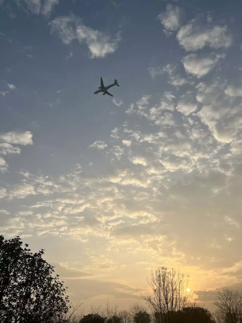 武汉农业集团空港湿地花田