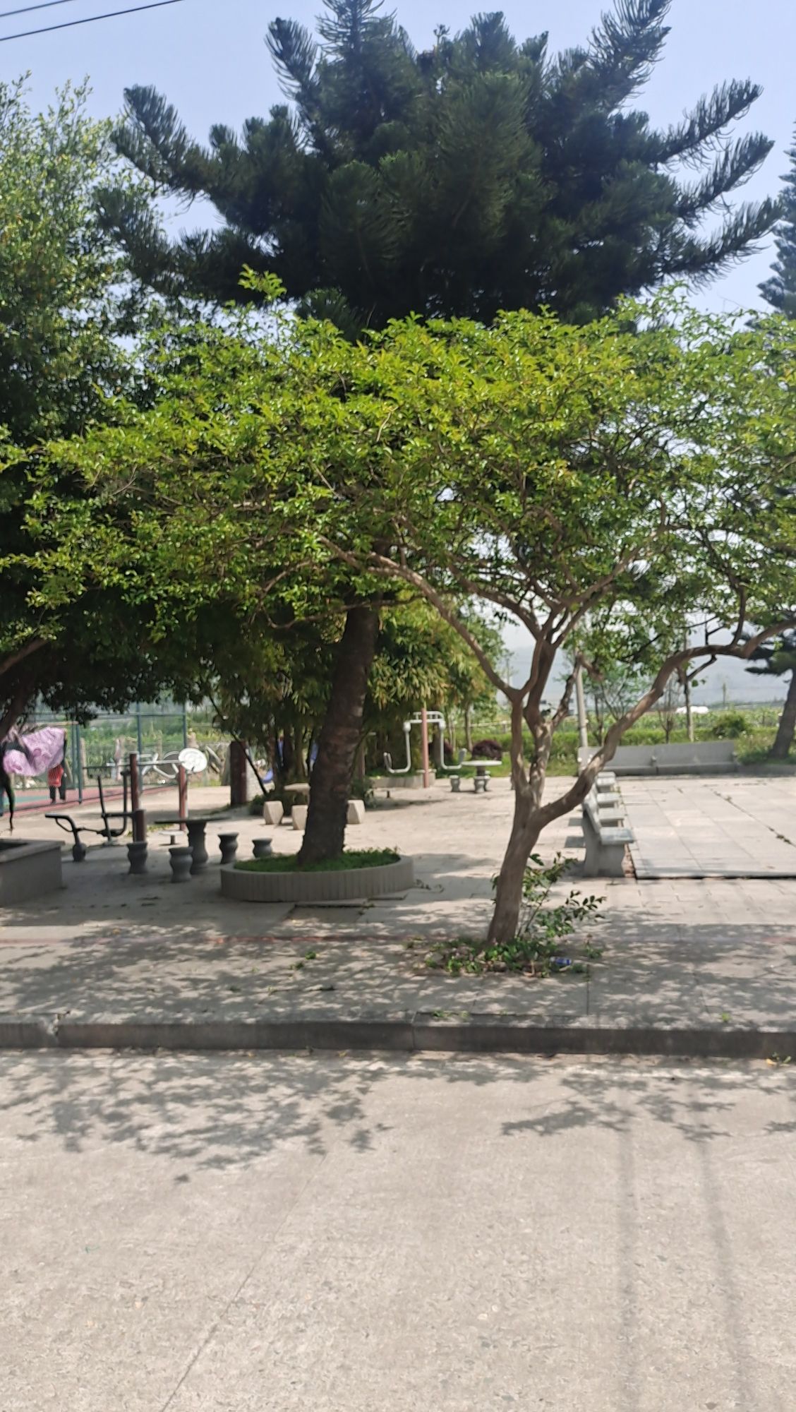 东岱南门公园
