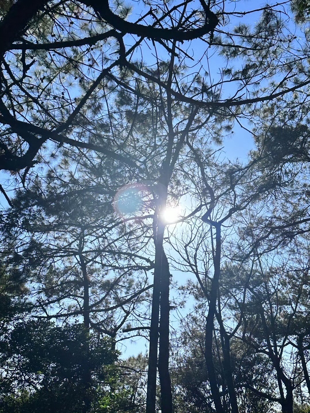 南安·仙境天柱山旅游度假区