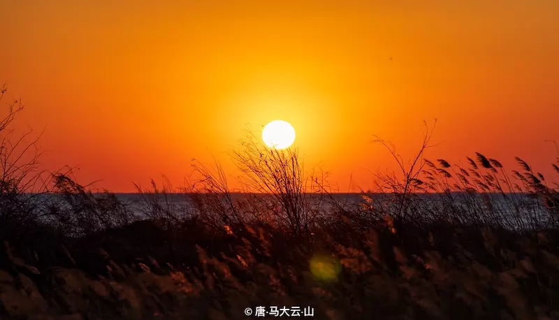 嘴东拾贝滩
