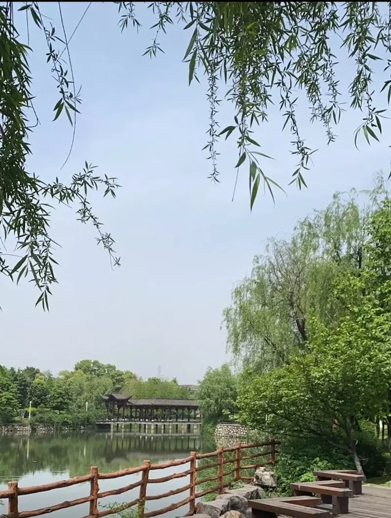 天鹅湖公园
