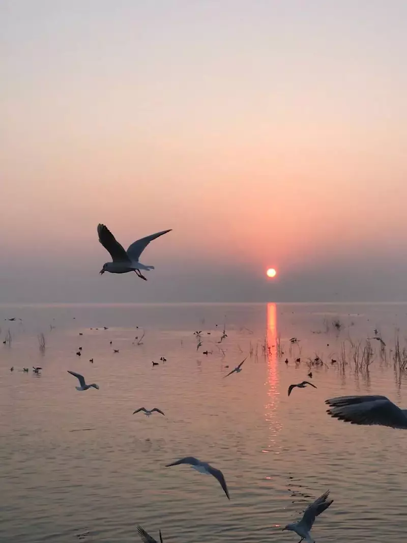 白龟湖国家城市湿地公园