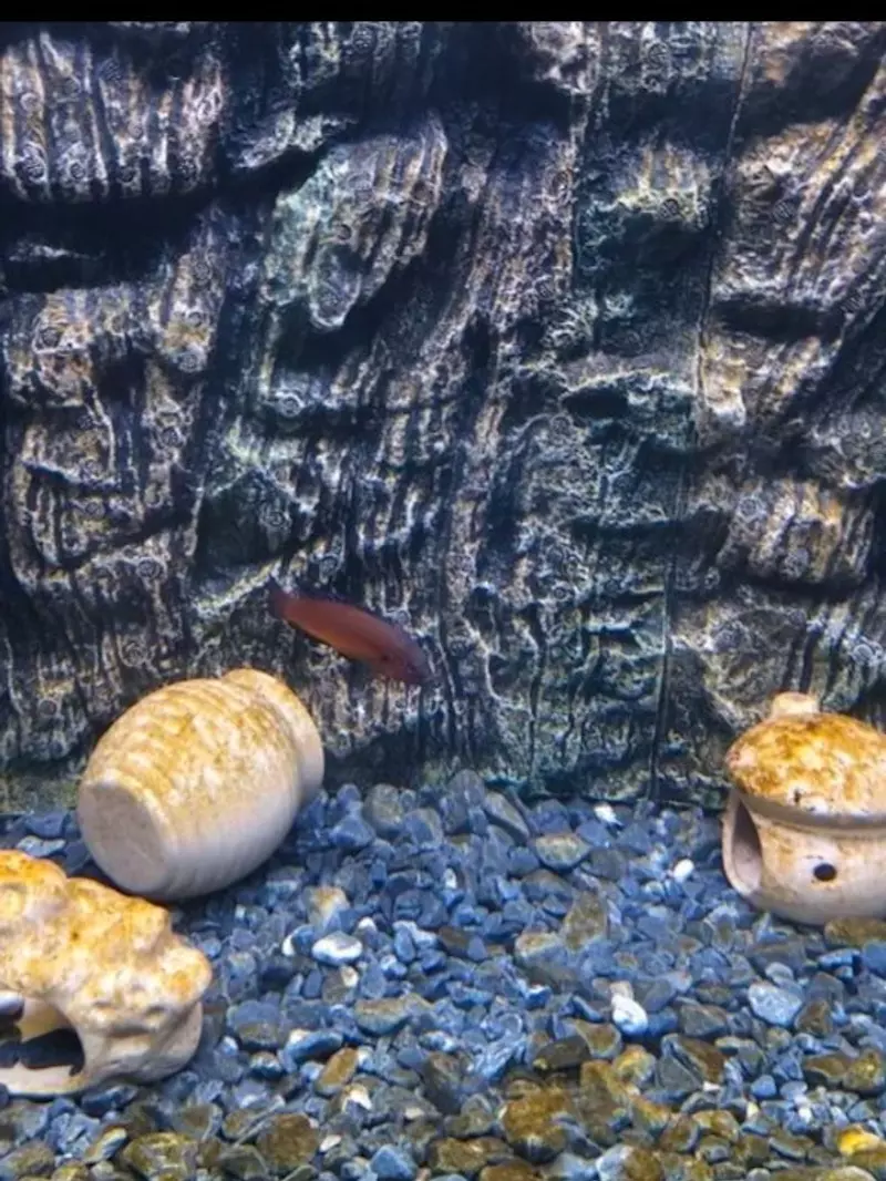 达州海洋馆