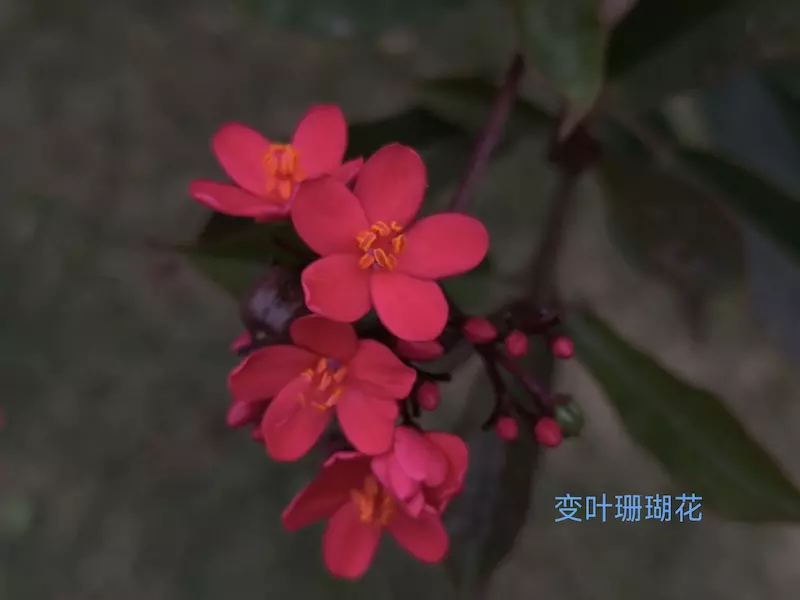 官渡公园