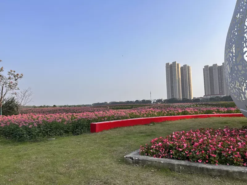 宛山湖西路联福路花海