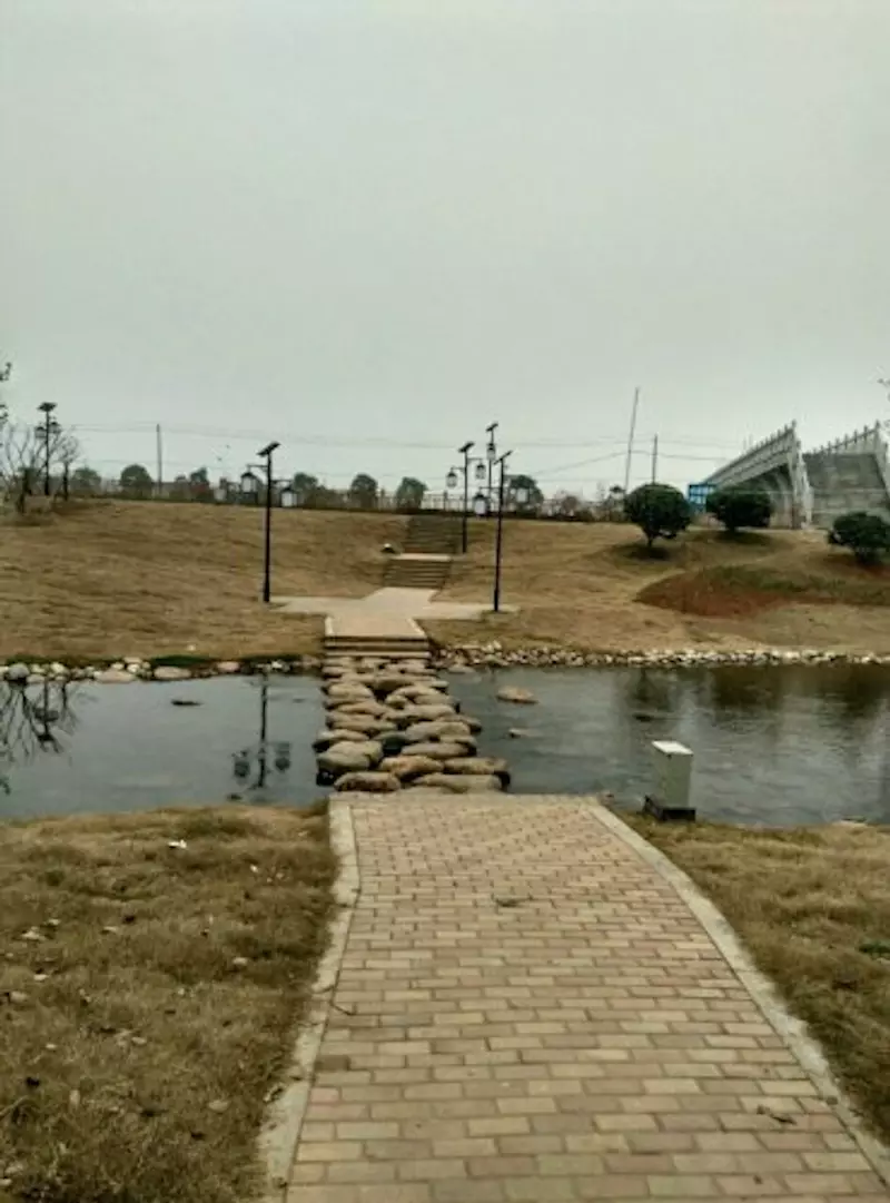芦洲湿地公园
