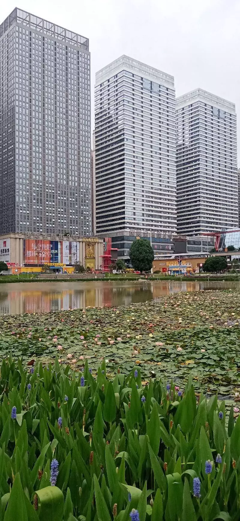 花果园湿地公园