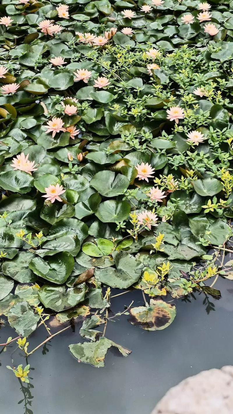 南通濠河风景名胜区