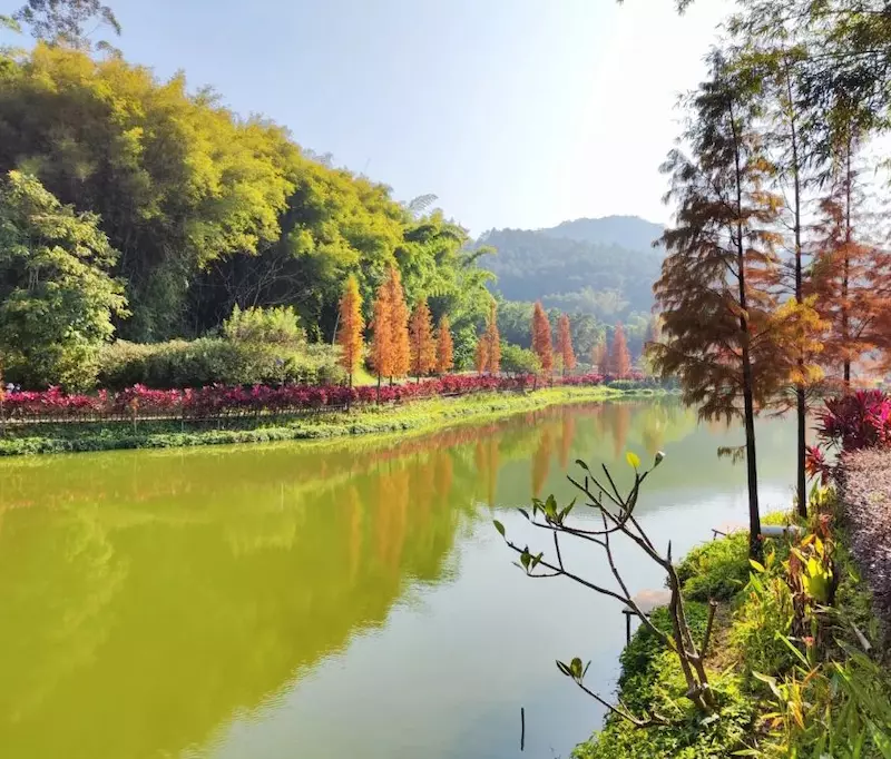 广东南山森林公园