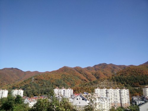大清沟(不对外开放)