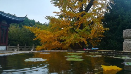 银河之春公园