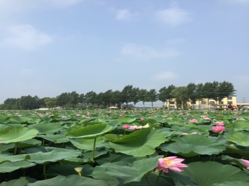 铁岭市城市风景