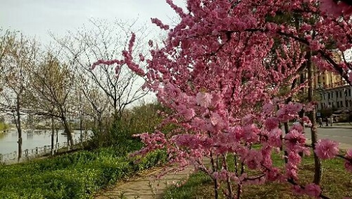 沂河源省级湿地公园