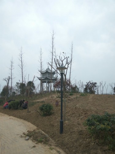 罗桥公园