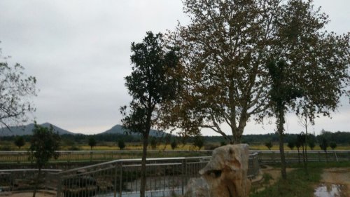 莲花井公园