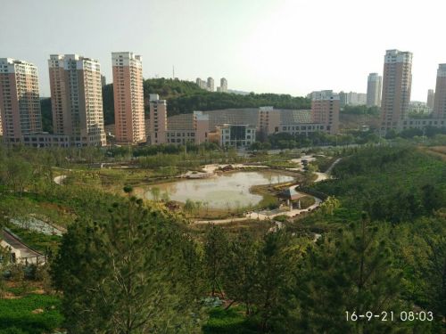 yoyo公园