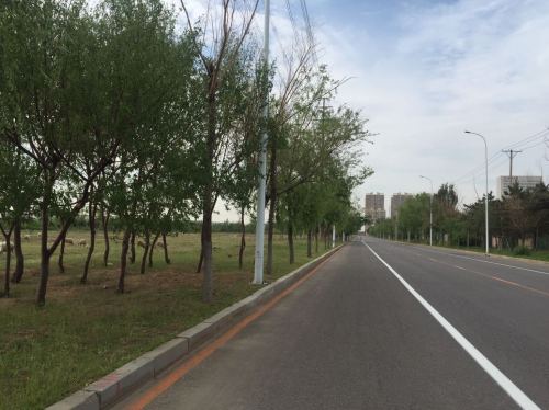 远大湿地公园