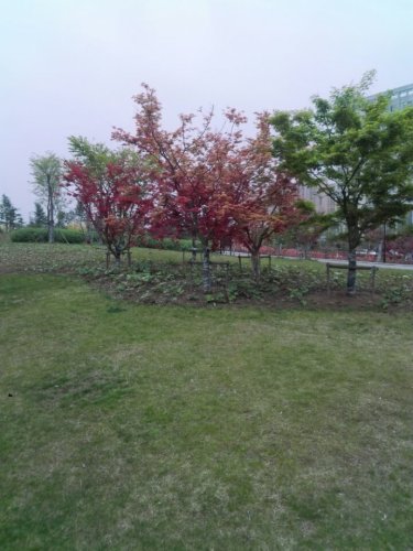 嘉山公园