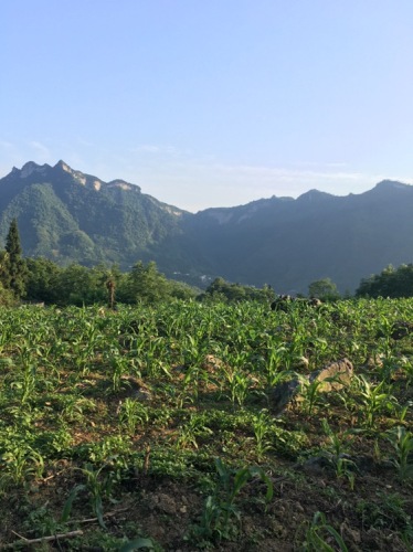 川山洞风景区(筹建中)