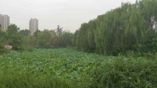 大汉之源
