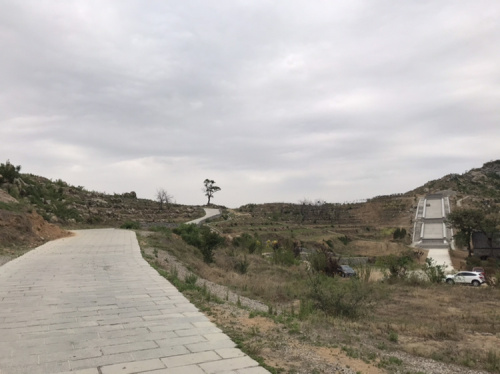 盘龙步道