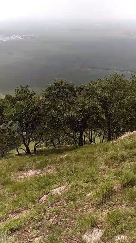 驿马山森林公园