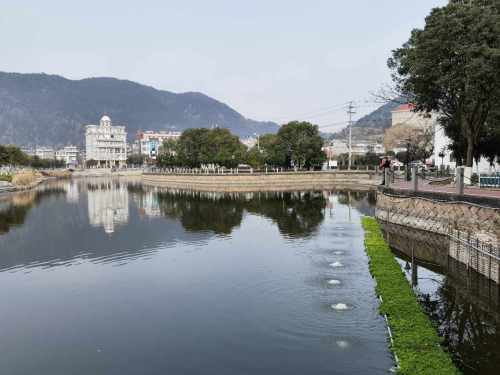 大乌石村滨水樱花园