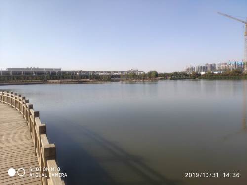 礼湖公园