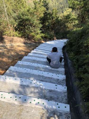 潘田森林公园