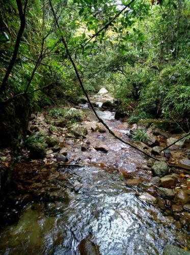 杨东山十二渡水生态旅游区