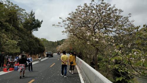 水凤凰生态旅游风景区