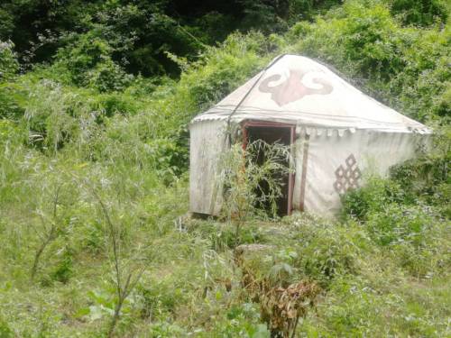 栾川天宇红豆杉景区