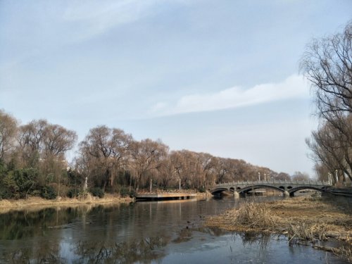 小沂河湿地公园