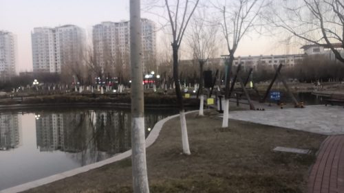 芦湖公园