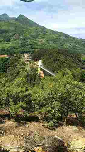 云上梯田景区