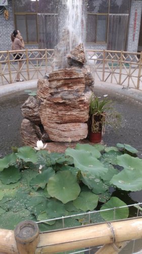 堤上草莓主题公园