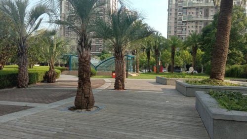 正阳中央公园