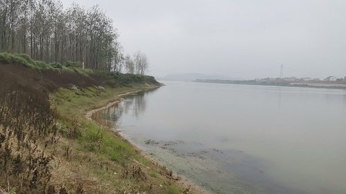 衡东洣水国家湿地公园石杨花海