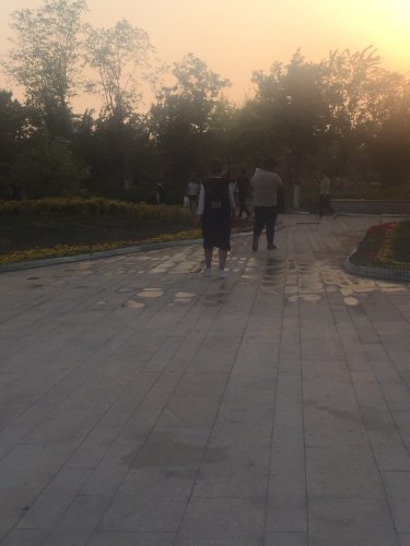 南乐县东湖湿地公园