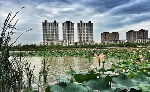菁英湖风情公园