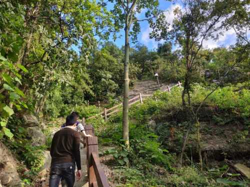 九龙湖风景名胜区-下保山公园