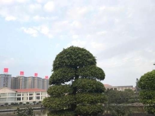 北山公园