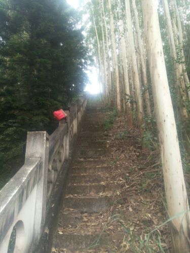 狮子山公园(装修中)
