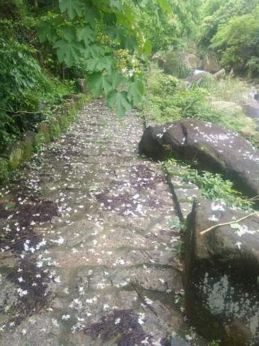 大帽山休闲农场